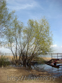 Река Волга в Саратове фото