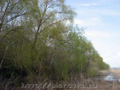 Река Волга в Саратове фото