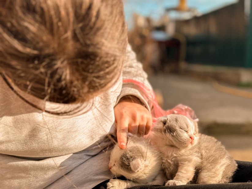 ребёнок играет с кошкой, укрепляя связь