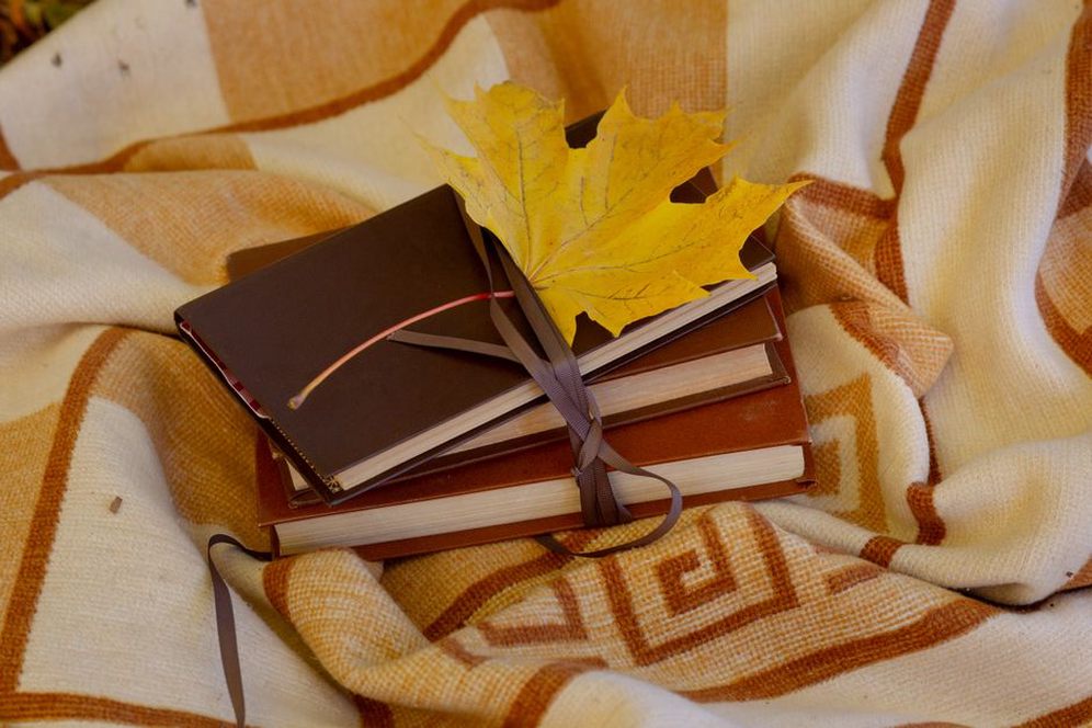 уютный уголок для чтения с книгами и пледом