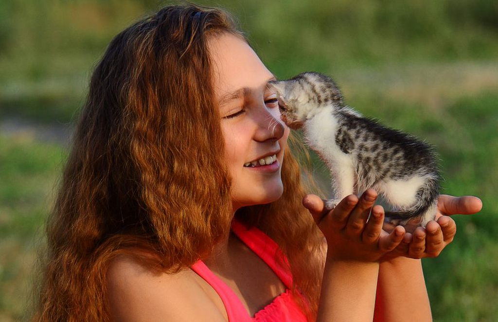 семья смеется с кошками