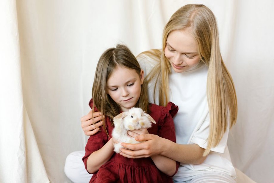 Родители и ребёнок спокойно знакомятся с животными