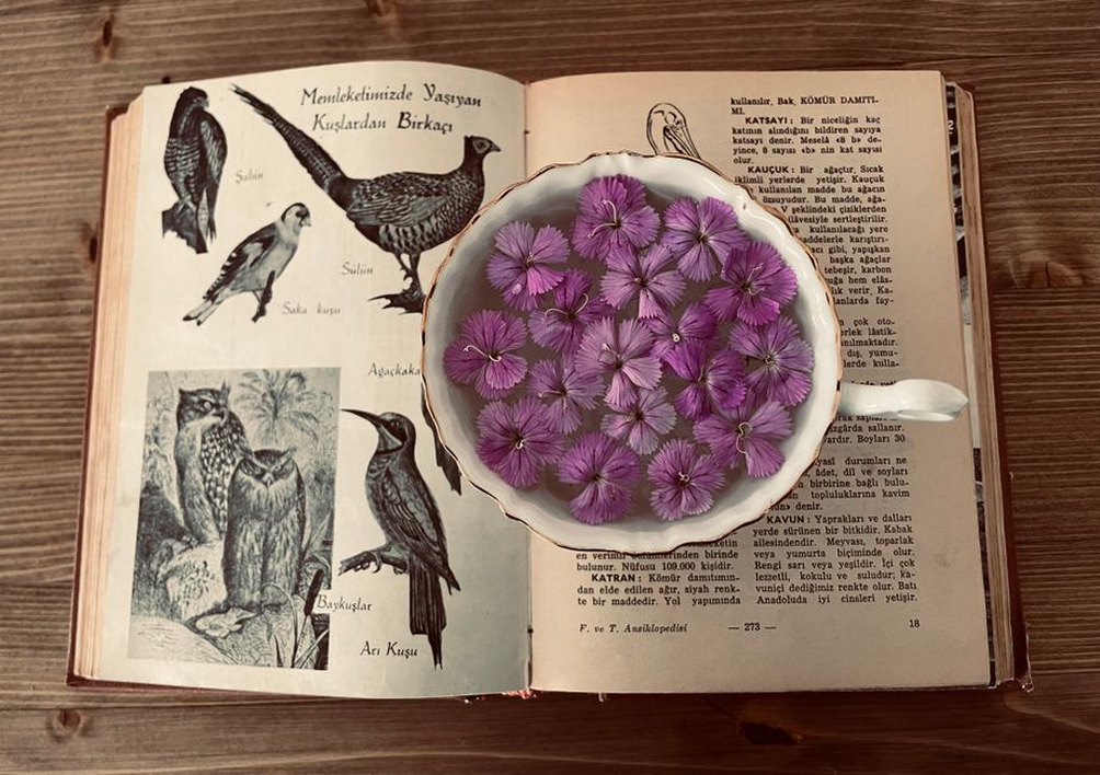 Старая детская книга раскрыта на любимом рисунке